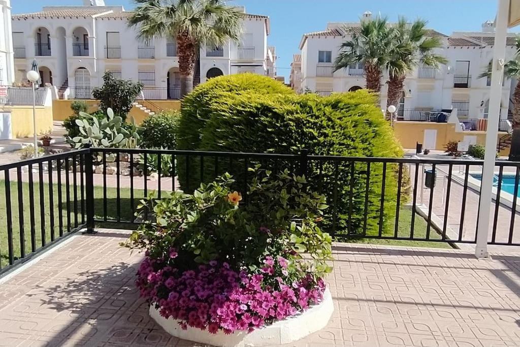 Villamartin Golf Lovers Home San Miguel De Salinas Exteriör bild